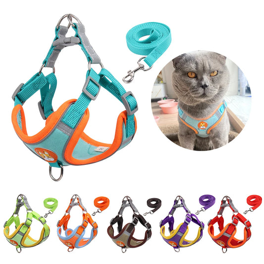 Cat harness-