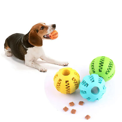 Elastic chew toy for dogs-