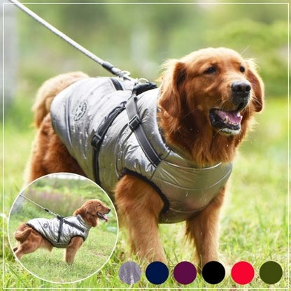Nylon adjustable dog harness-